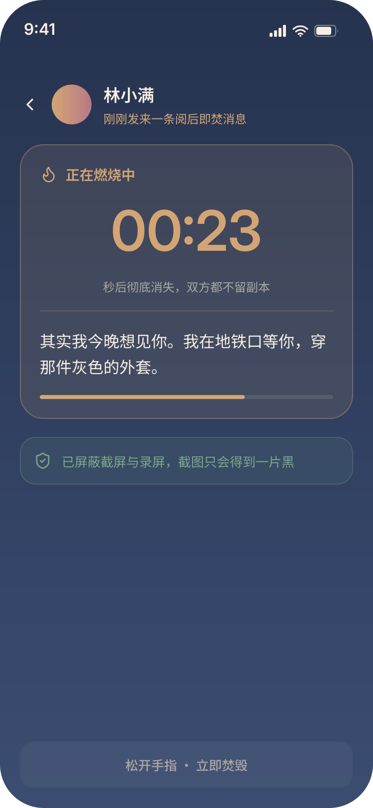 阅后即焚界面：大号倒计时与燃烧进度条