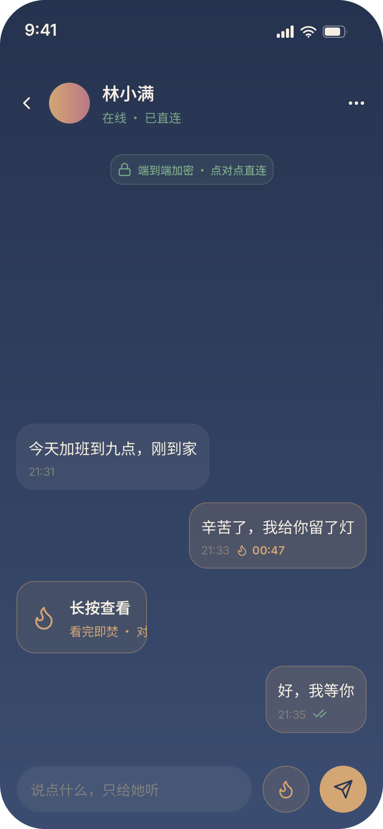 加密对话界面：端到端加密胶囊与焚毁倒计时